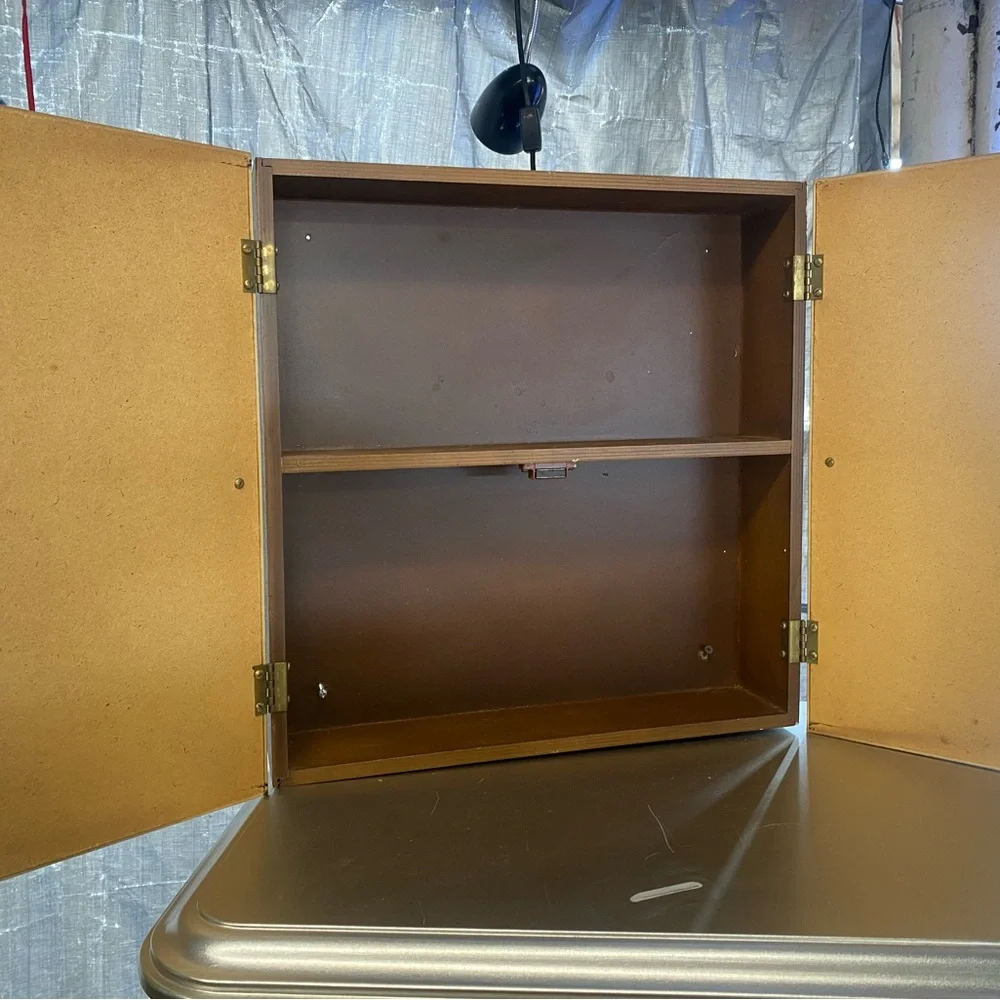 Cute Midcentury Plastic and wood Small Cabinet
